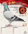 图片暂时未上传