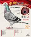 图片暂时未上传