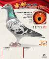 图片暂时未上传