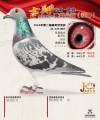 图片暂时未上传
