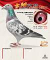 图片暂时未上传