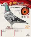 图片暂时未上传