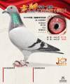 图片暂时未上传