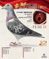 图片暂时未上传