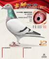 图片暂时未上传