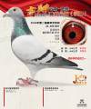 图片暂时未上传