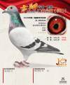 图片暂时未上传
