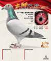 图片暂时未上传