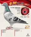 图片暂时未上传