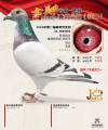 图片暂时未上传