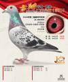 图片暂时未上传