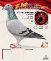 图片暂时未上传