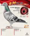 图片暂时未上传