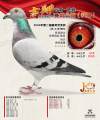 图片暂时未上传