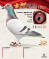 图片暂时未上传