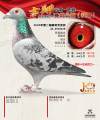 图片暂时未上传