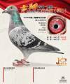 图片暂时未上传