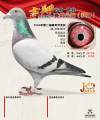 图片暂时未上传