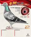 图片暂时未上传
