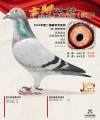 图片暂时未上传
