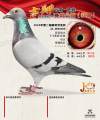 图片暂时未上传