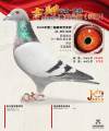图片暂时未上传