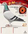 图片暂时未上传