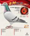 图片暂时未上传