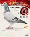 图片暂时未上传