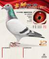 图片暂时未上传