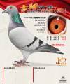 图片暂时未上传