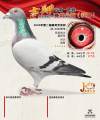 图片暂时未上传