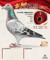 图片暂时未上传