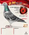 图片暂时未上传