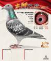 图片暂时未上传