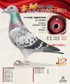 图片暂时未上传