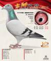 图片暂时未上传