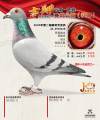 图片暂时未上传