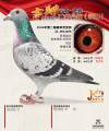 图片暂时未上传