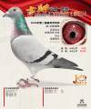 图片暂时未上传