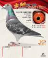 图片暂时未上传
