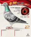 图片暂时未上传