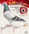 图片暂时未上传