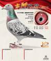 图片暂时未上传