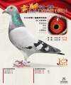 图片暂时未上传