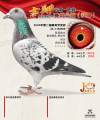 图片暂时未上传
