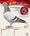 图片暂时未上传