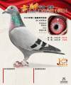 图片暂时未上传