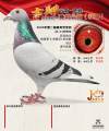 图片暂时未上传