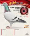 图片暂时未上传